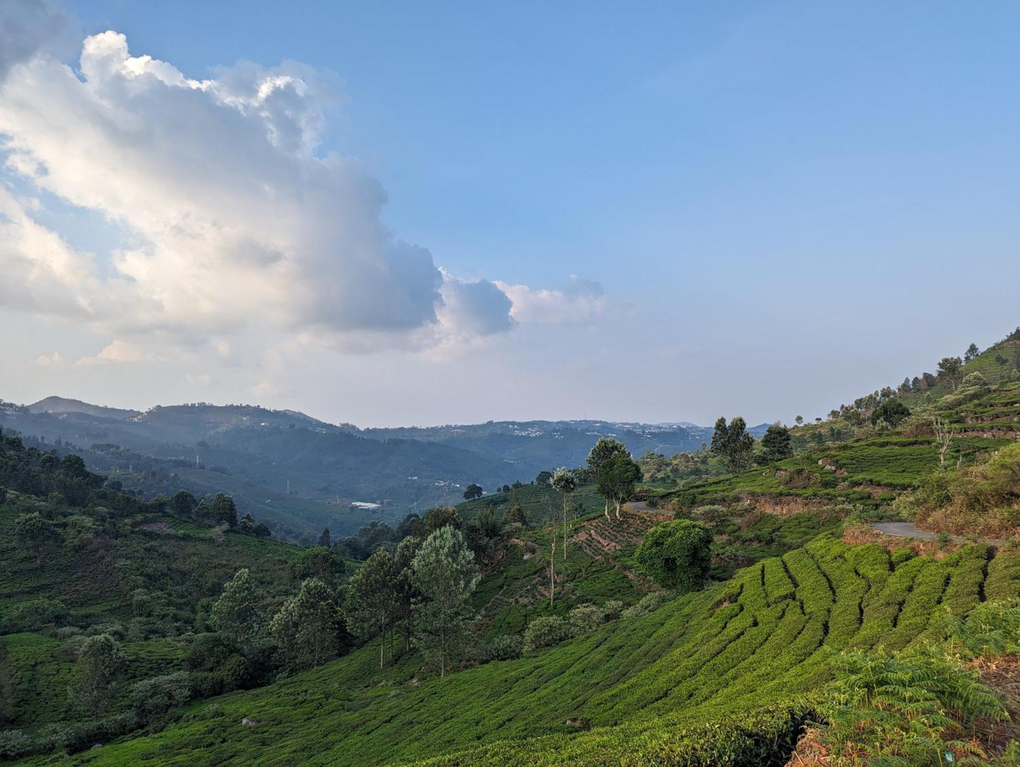 Ghar Homestay, Kotagiri Exteriör bild