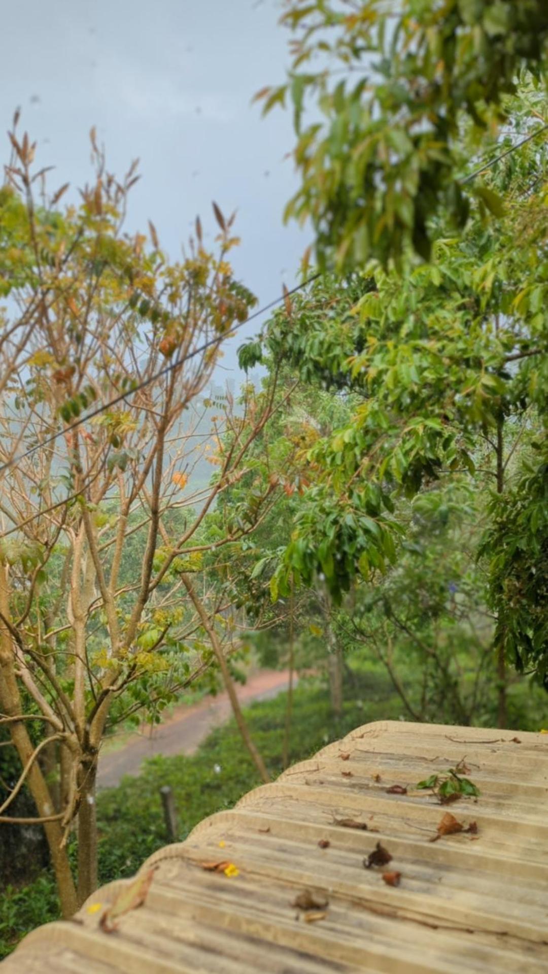 Ghar Homestay, Kotagiri Exteriör bild