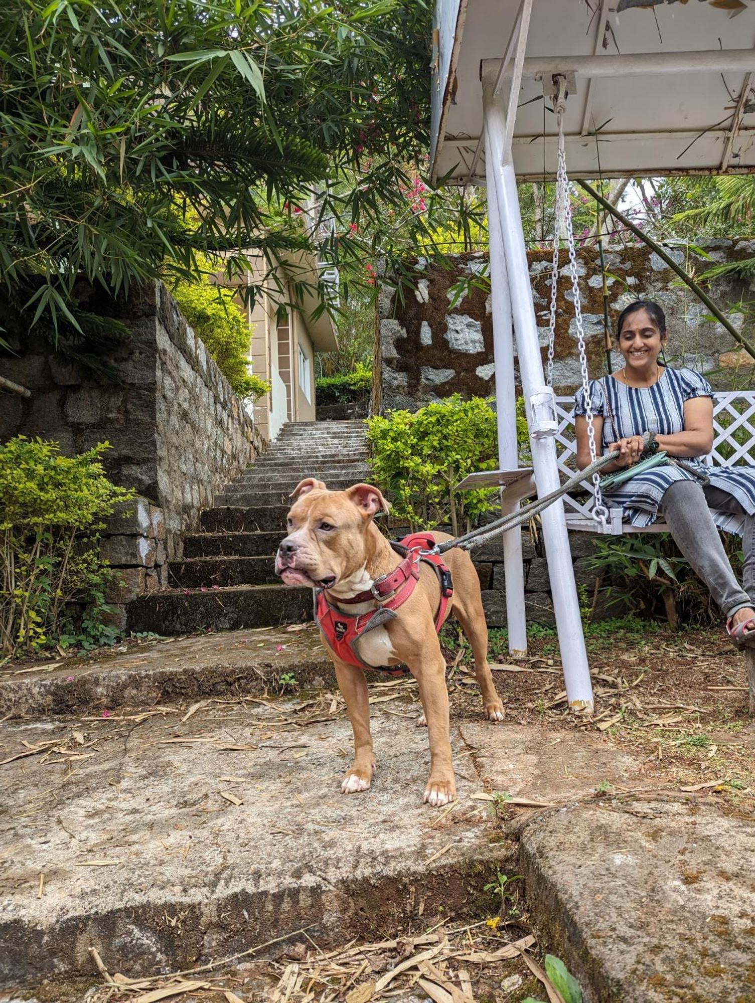 Ghar Homestay, Kotagiri Exteriör bild