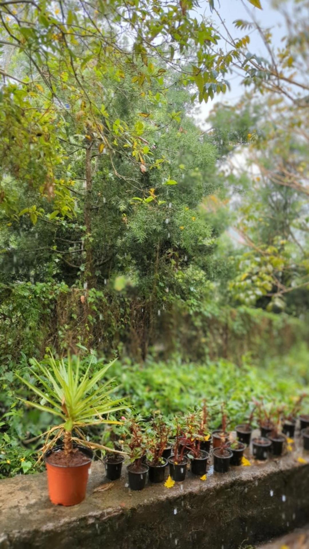 Ghar Homestay, Kotagiri Exteriör bild