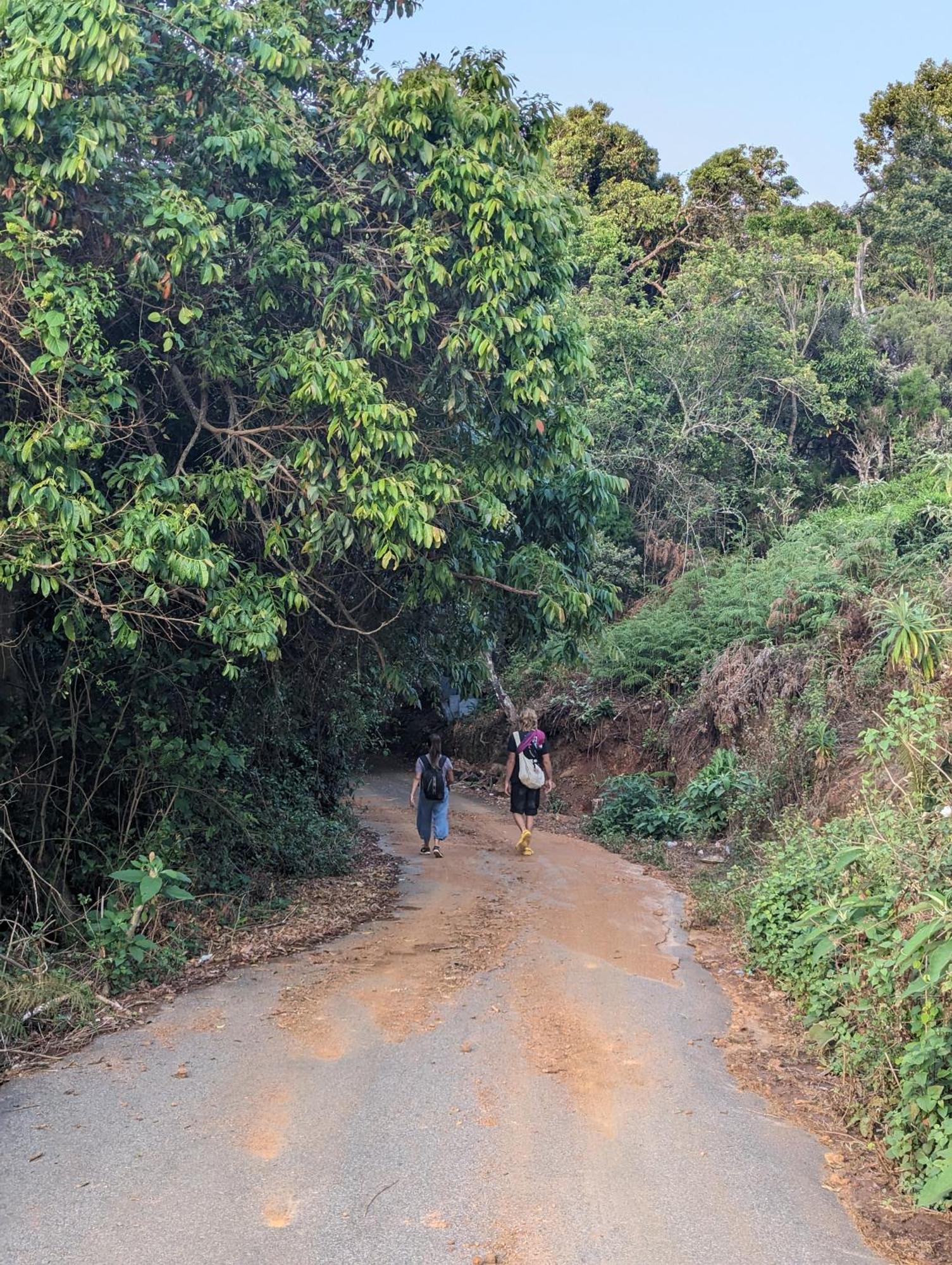 Ghar Homestay, Kotagiri Exteriör bild