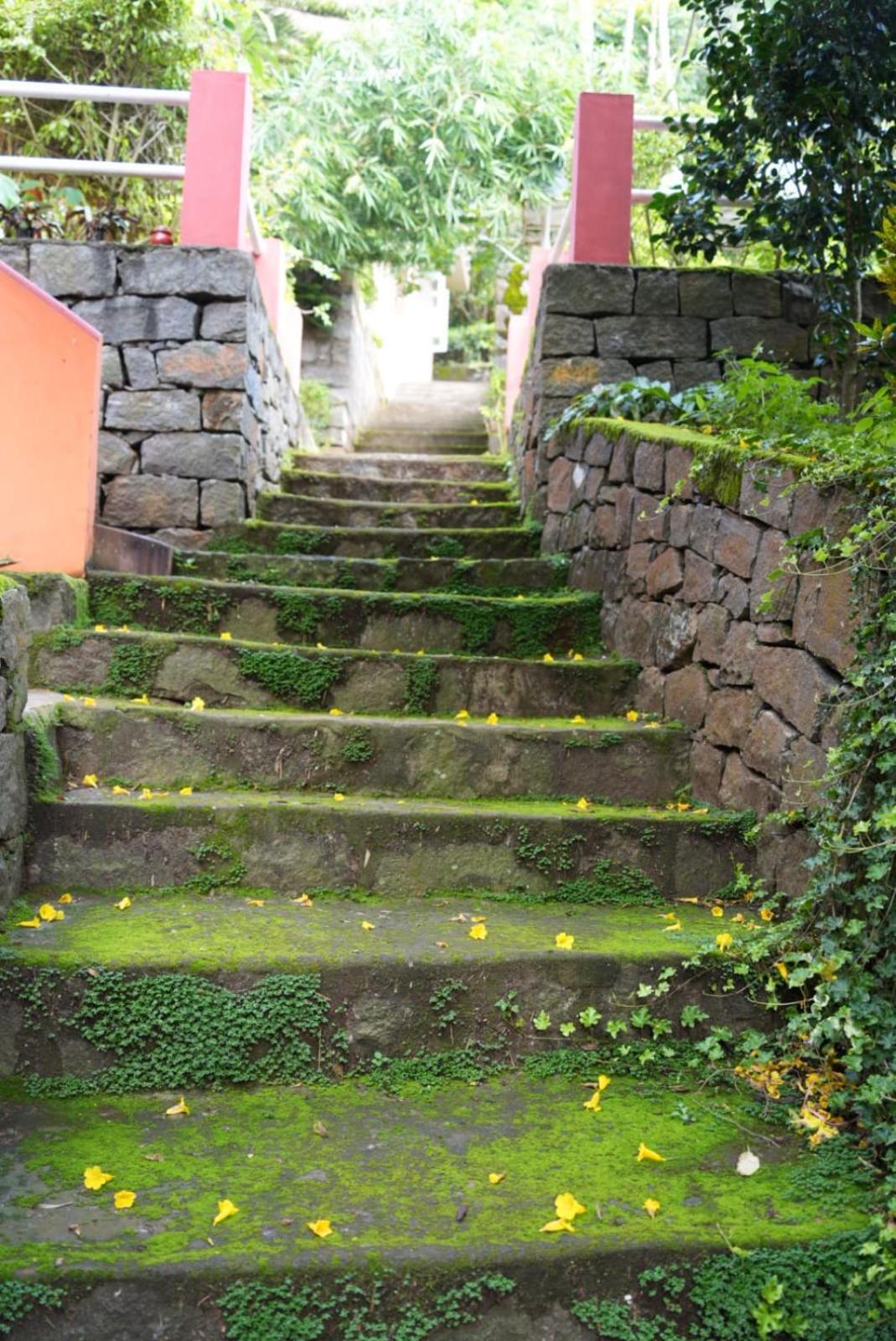 Ghar Homestay, Kotagiri Exteriör bild